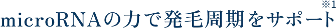 microRNAの力で発毛周期をサポート
